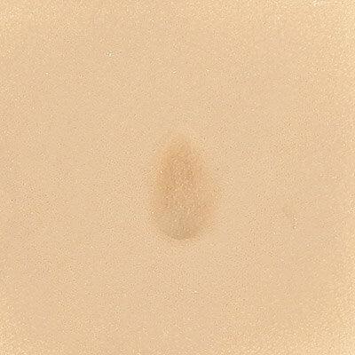 P208 / 6208-00