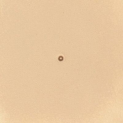 S931 / 6931-00